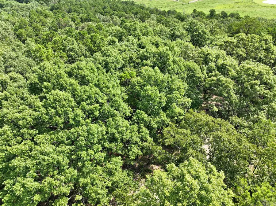 TBD Rolling Oaks Lane, Mena, AR 71953 - Image #3