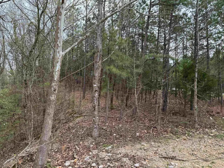 7 Moreno Way, Hot Springs Village, AR 71909 - Image #3