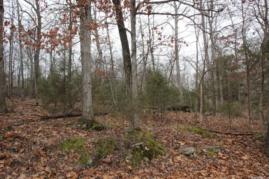 Lot 21 Woodstone Road, Bull Shoals, AR 72619 - Image #2