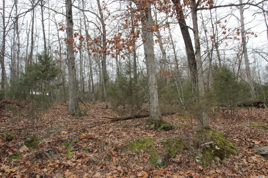 Lot 21 Woodstone Road, Bull Shoals, AR 72619 - Image #3