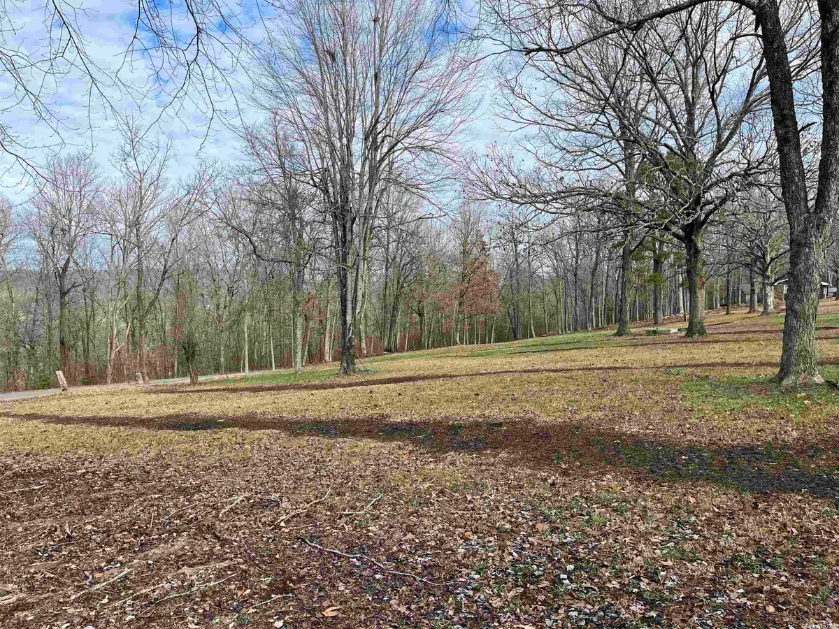 Wilson Street, Leslie, AR 72645 - Image #1