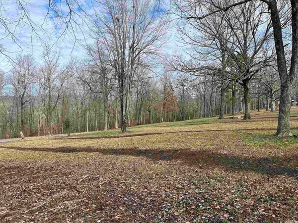 Wilson Street, Leslie, AR 72645