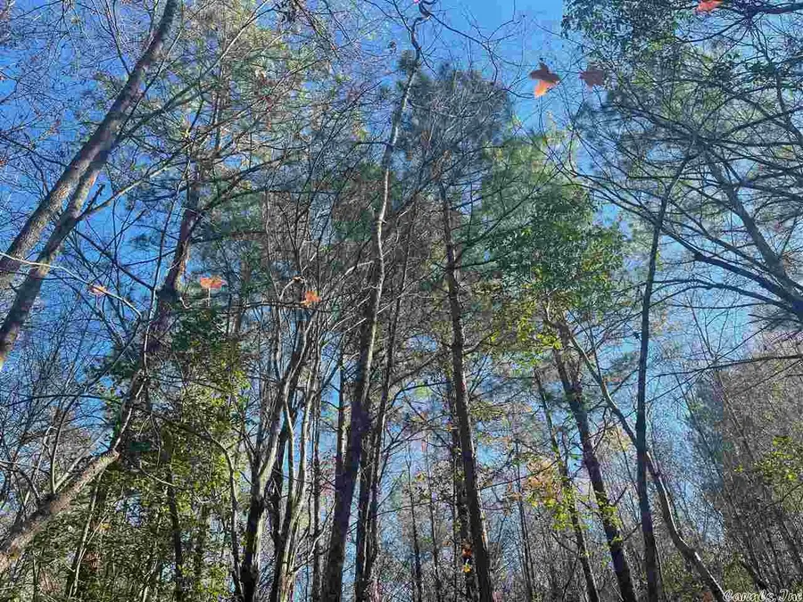 00 Deer Brook Drive, Sheridan, AR 72150 - Image #2