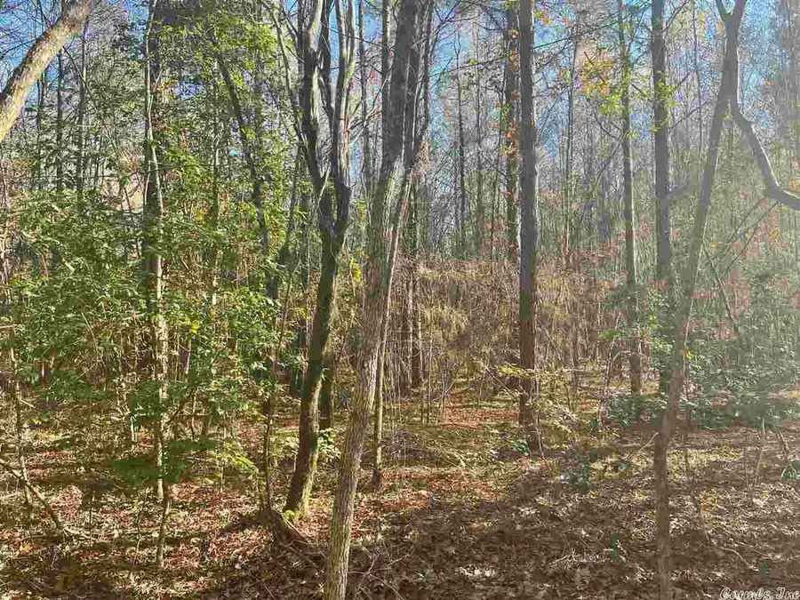 00 Deer Brook Drive, Sheridan, AR 72150 - Image #3