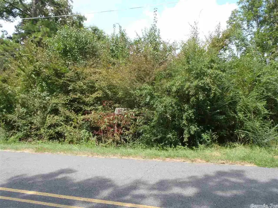 XXX Lakeshore Drive, Hot Springs, AR 71913 - #2