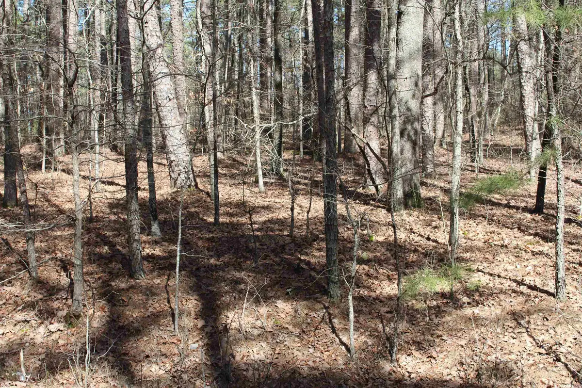 Pyrenees Circle, Hot Springs Village, AR 71909 - Image #1