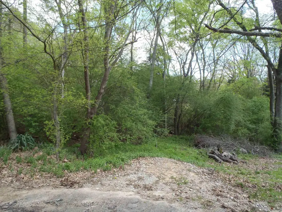 XXX Yorkshire Drive, Hot Springs, AR 71913 - #2