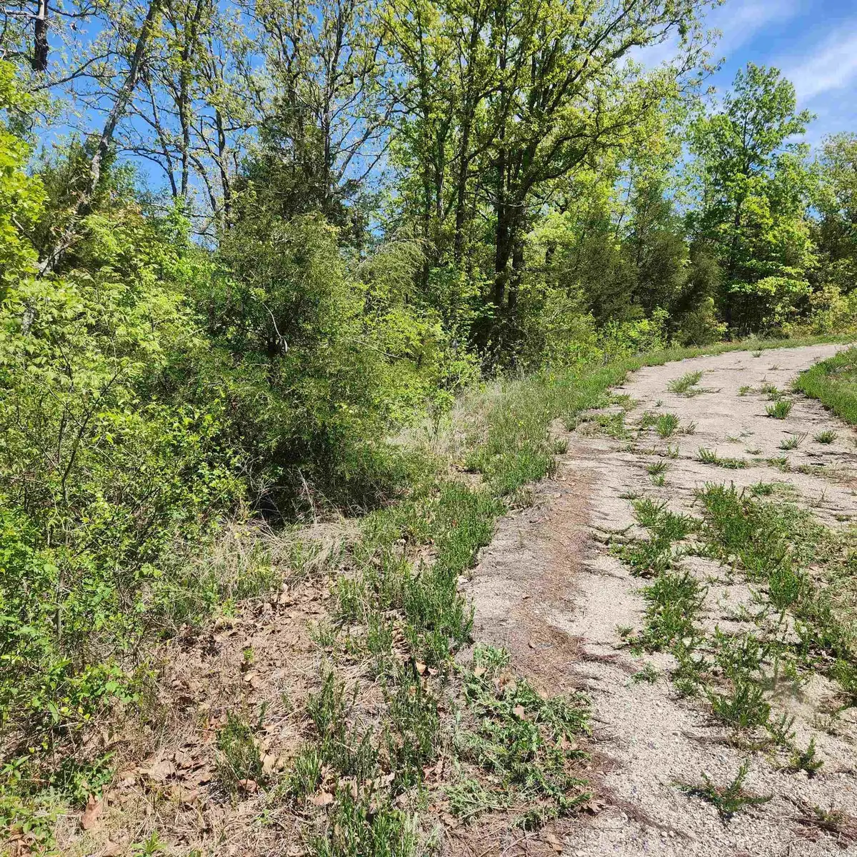 L-9 B-2 Minnetree Circle, Cherokee Village, AR 72529 - Image #1