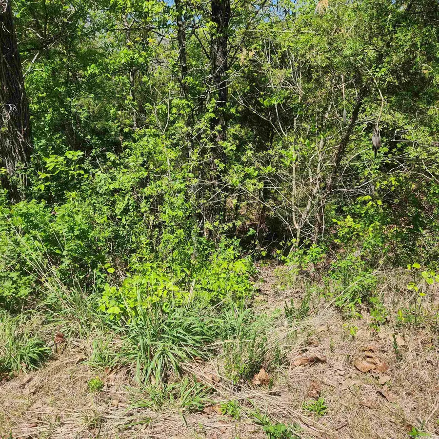 L-9 B-2 Minnetree Circle, Cherokee Village, AR 72529 - Image #2