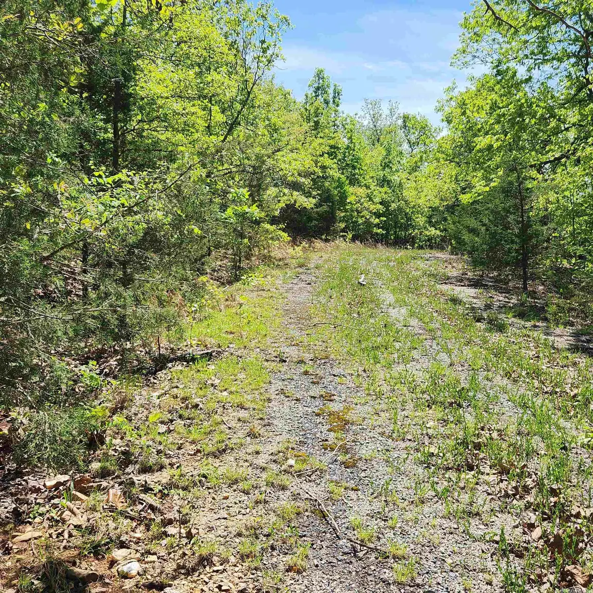 L-65 B-1 Kayenta Circle, Cherokee Village, AR 72529 - Image #1