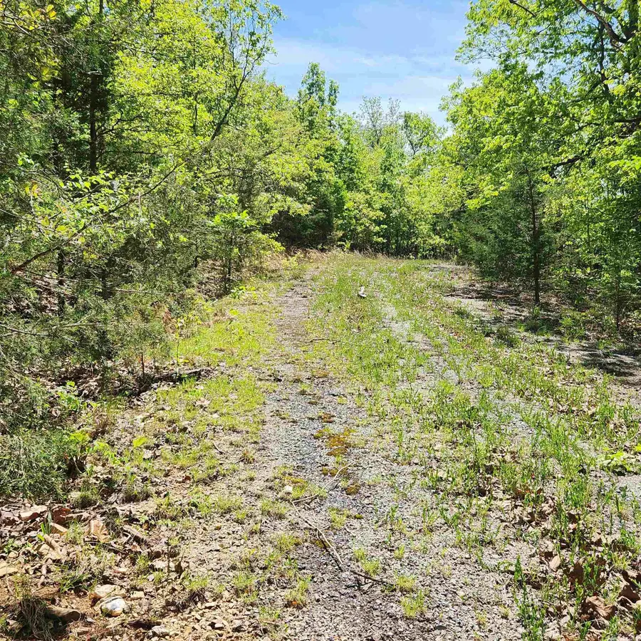 L-65 B-1 Kayenta Circle, Cherokee Village, AR 72529 - Image #2