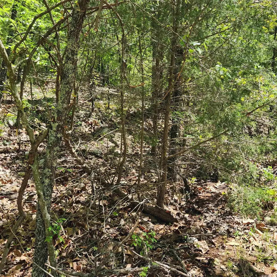 L-65 B-1 Kayenta Circle, Cherokee Village, AR 72529 - Image #3