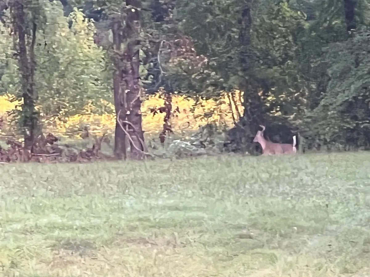 2344 Ed Haymes, Austin, AR 72007 - Image #1