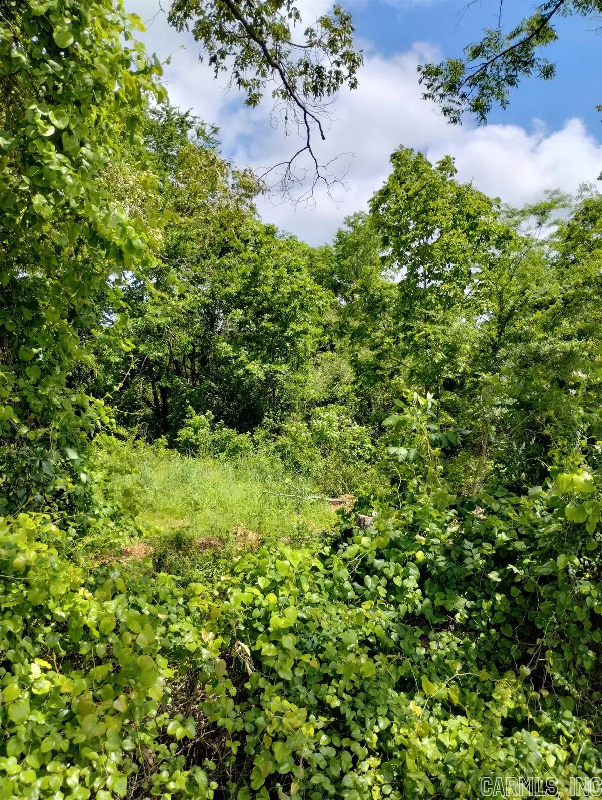 Address Withheld By Seller, Clark, AR 71943 - Image #1