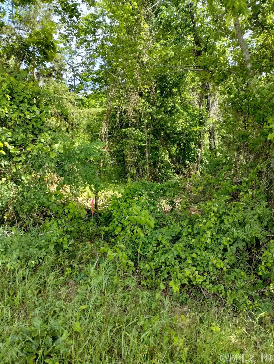 Address Withheld By Seller, Clark, AR 71943 - Image #2