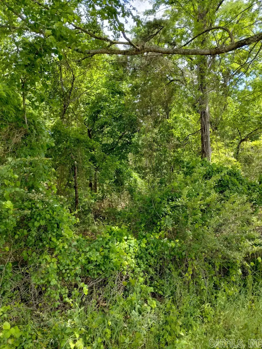 Address Withheld By Seller, Clark, AR 71943 - Image #3