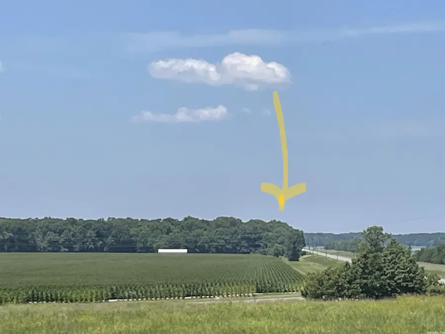 0000 Wibur D Mills Road, Tichnor, AR 72166 - Image #2