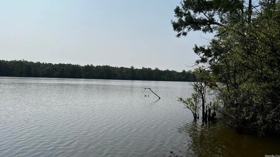 2390 Cr 239 Road, Helena, AR 72342 - Image #2