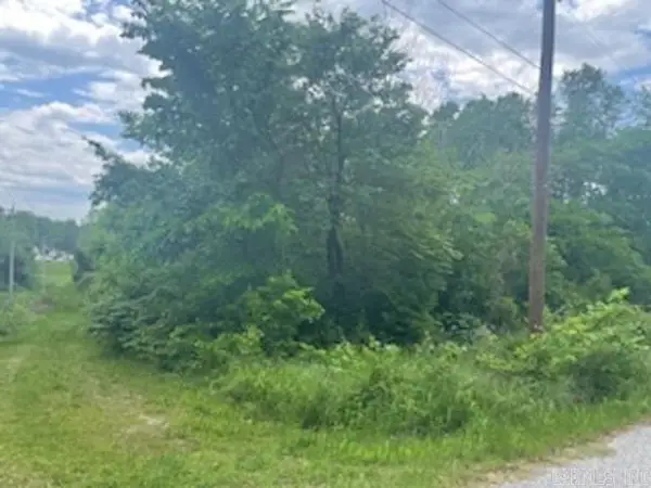 lot 58 Town Park Way, Mountain Home, AR 72653