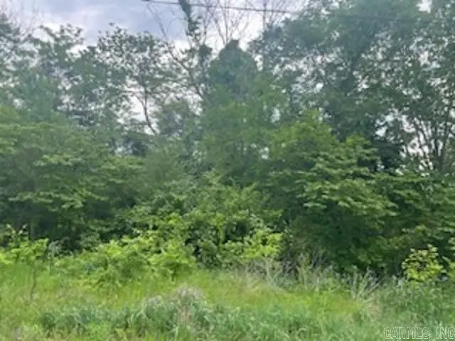 lot 58 Town Park Way, Mountain Home, AR 72653 - Image #2