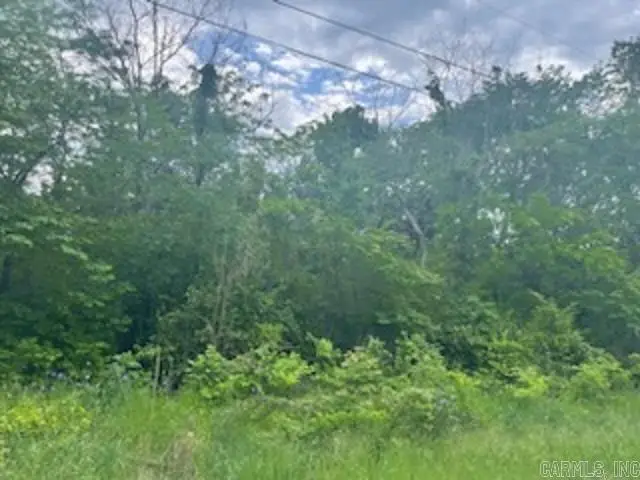 lot 58 Town Park Way, Mountain Home, AR 72653 - Image #3