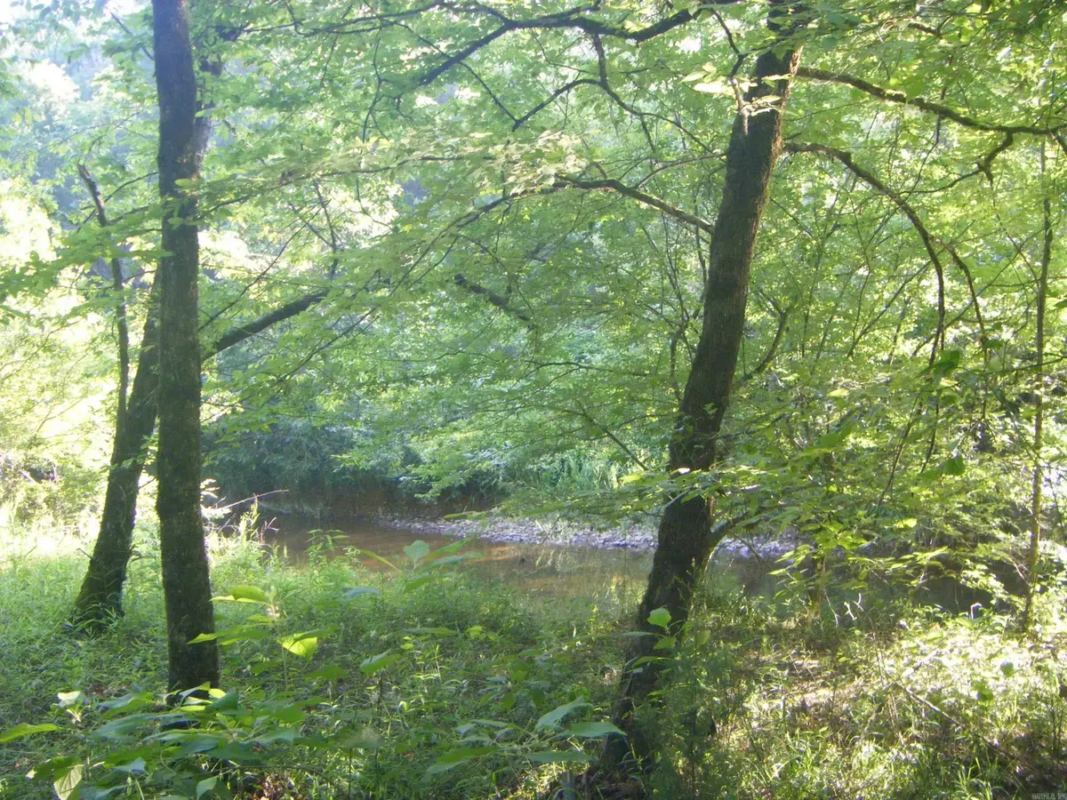 TBD Mosley Road, Arkadelphia, AR 71923 - Image #1