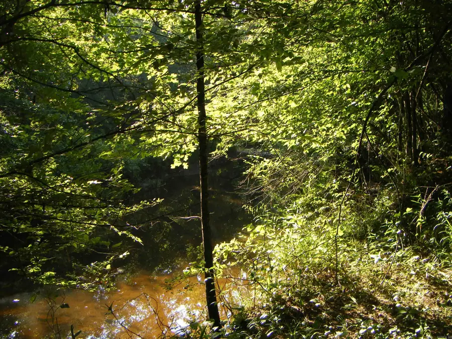 TBD Mosley Road, Arkadelphia, AR 71923 - Image #2