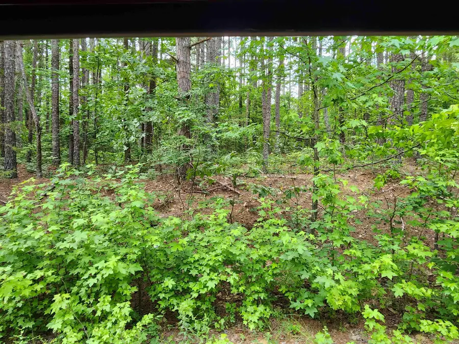 0 Coyne And Elderberry Way, Fairfield Bay, AR 72088 - Image #2