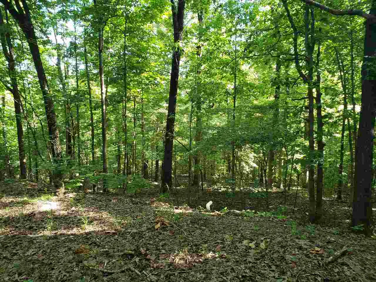 L-11, B-5 Nickajack Trace, Cherokee Village, AR 72529 - Image #1