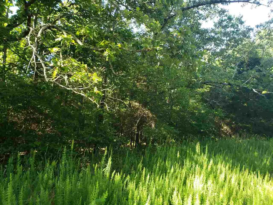 L-11, B-5 Nickajack Trace, Cherokee Village, AR 72529 - Image #2