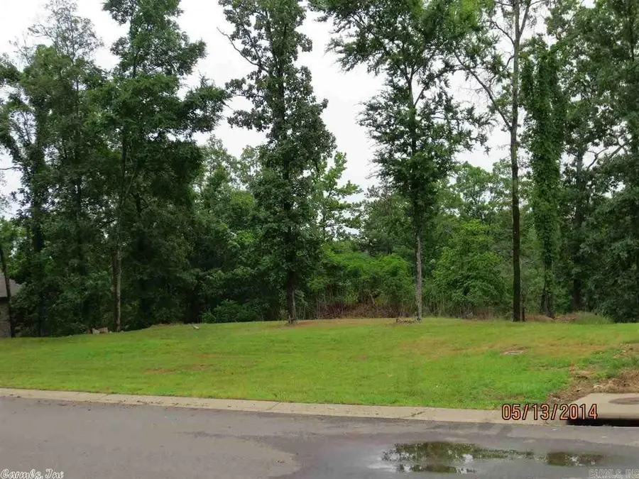 Lot 1 Cannon Ridge, Hot Springs, AR 71913 - #2
