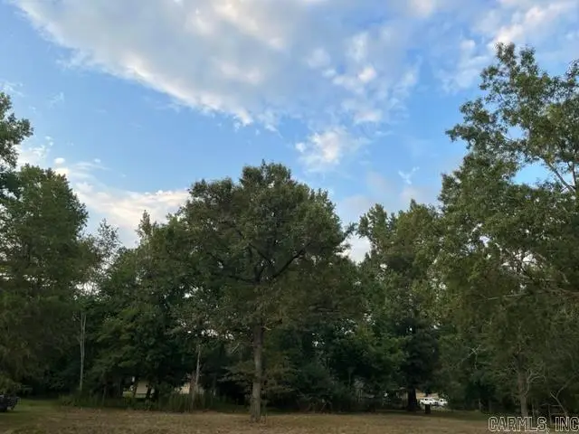 114 N Morgan Street, Murfreesboro, AR 71958 - Image #3