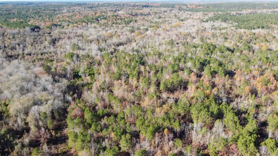 40 acres Ouachita 82 Road, Camden, AR 71701 - Image #3