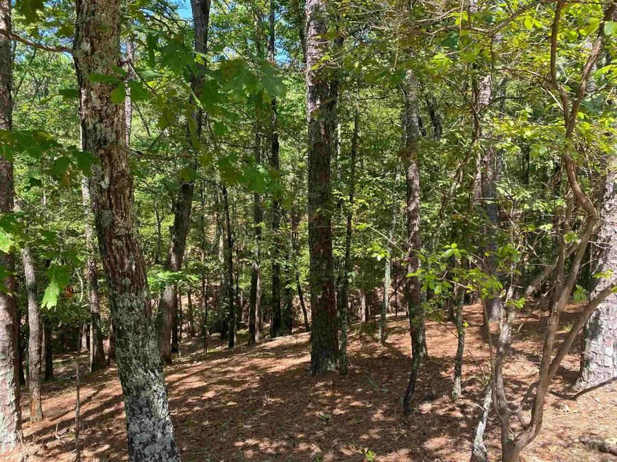 9 Hillside Trail, Mount Ida, AR 71957 - Image #3