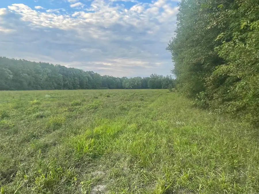 Address Withheld By Seller, Atkins, AR 72823 - Image #3