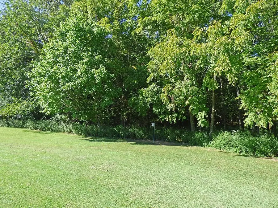 Kere Trace, Cherokee Village, AR 72529 - #3