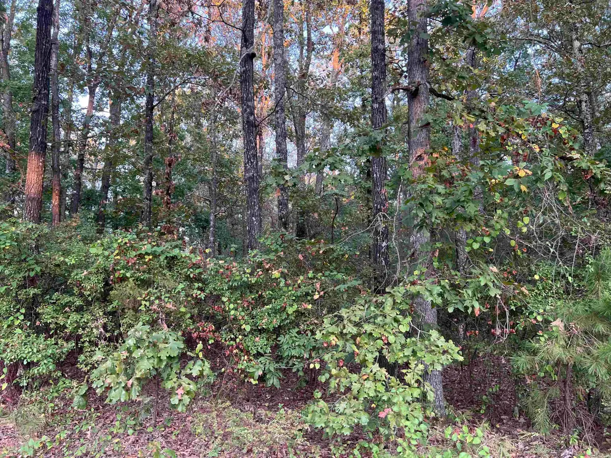 00 Sidney/flipper, Pine Bluff, AR 71602 - Image #1