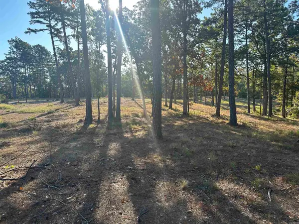 2915 Orchard View Drive, Conway, AR 72034