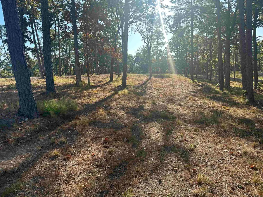 2915 Orchard View Drive, Conway, AR 72034 - Image #2