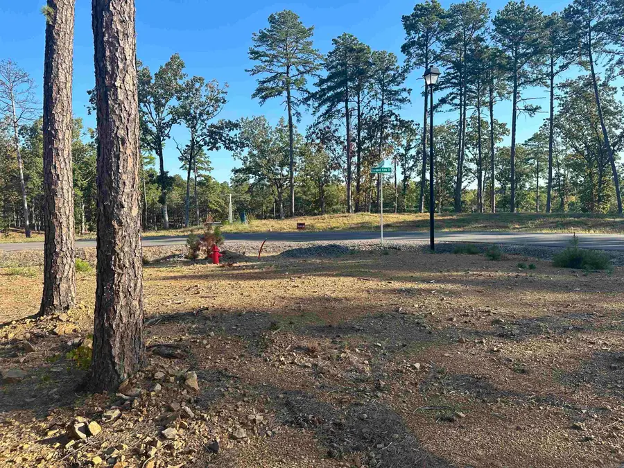 2915 Orchard View Drive, Conway, AR 72034 - Image #3