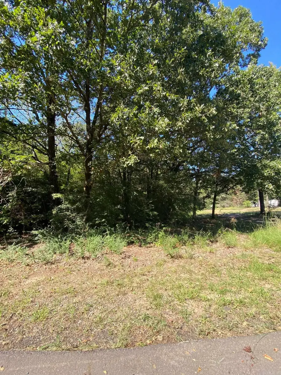 00 Narrows Drive, Greers Ferry, AR 72067 - Image #2