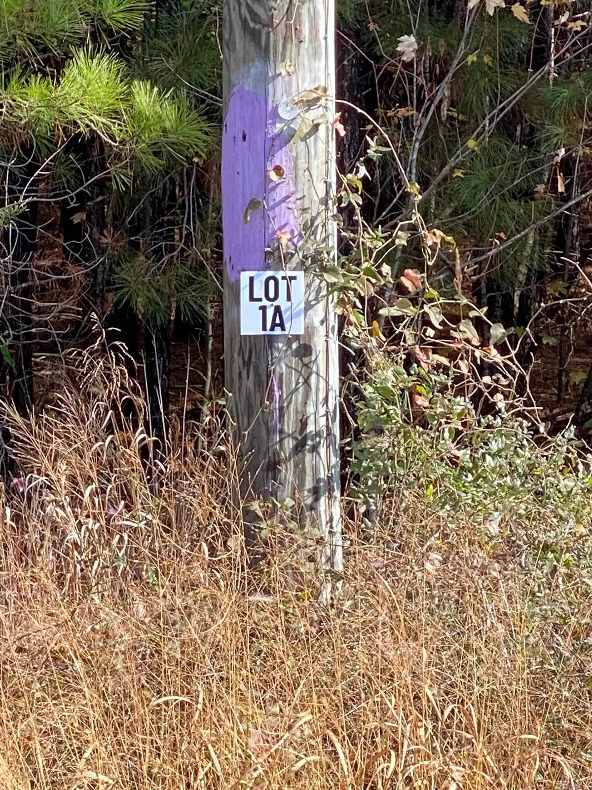 1A Hwy 89, Cabot, AR 72023 - Image #1