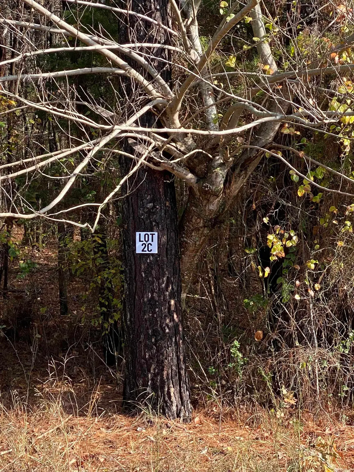 2C Hwy 89, Cabot, AR 72023 - Image #1