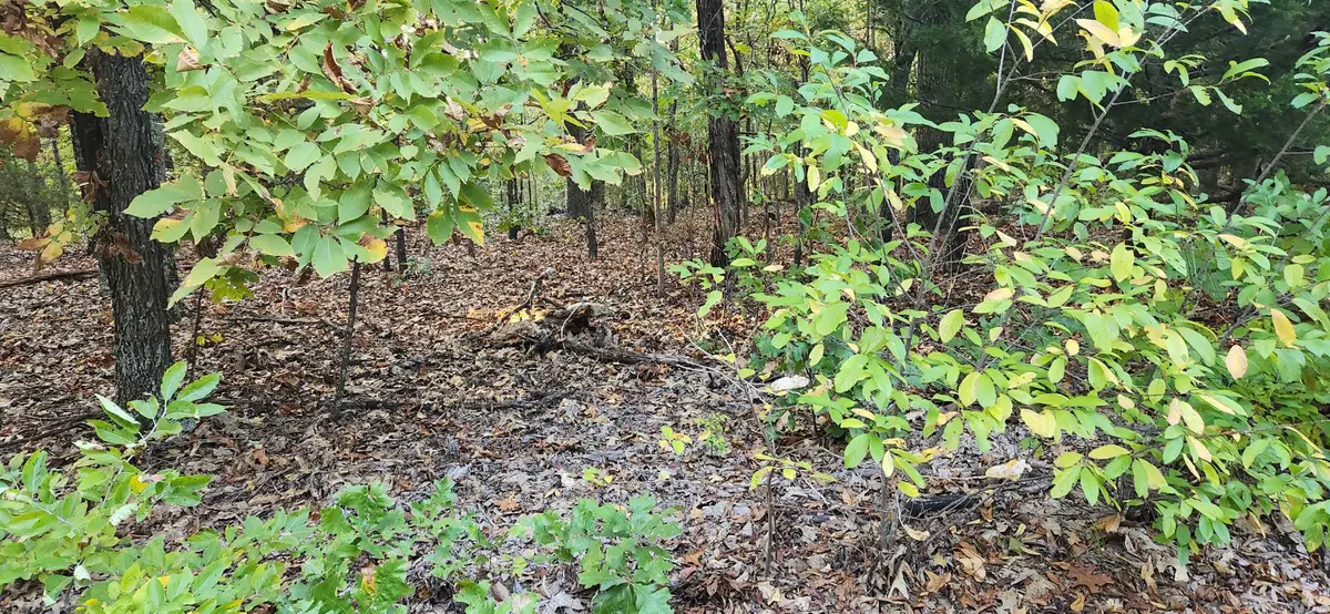 9 Konawa Dr Drive, Cherokee Village, AR 72529 - Image #1