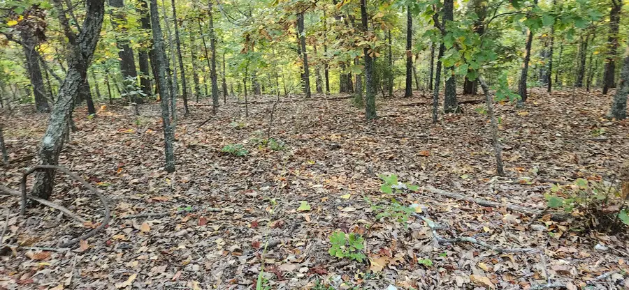 9 Konawa Dr Drive, Cherokee Village, AR 72529 - Image #2