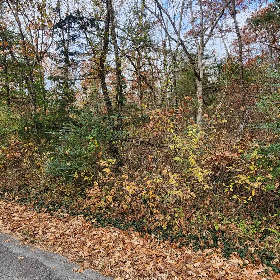 L-17, B-2 W Lakeshore Drive, Cherokee Village, AR 72529 - Image #2