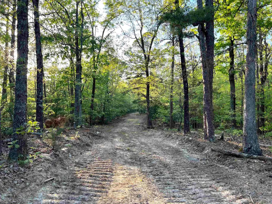 728-898 Brushy Creek Cove, Elizabeth, AR 72531 - Image #2