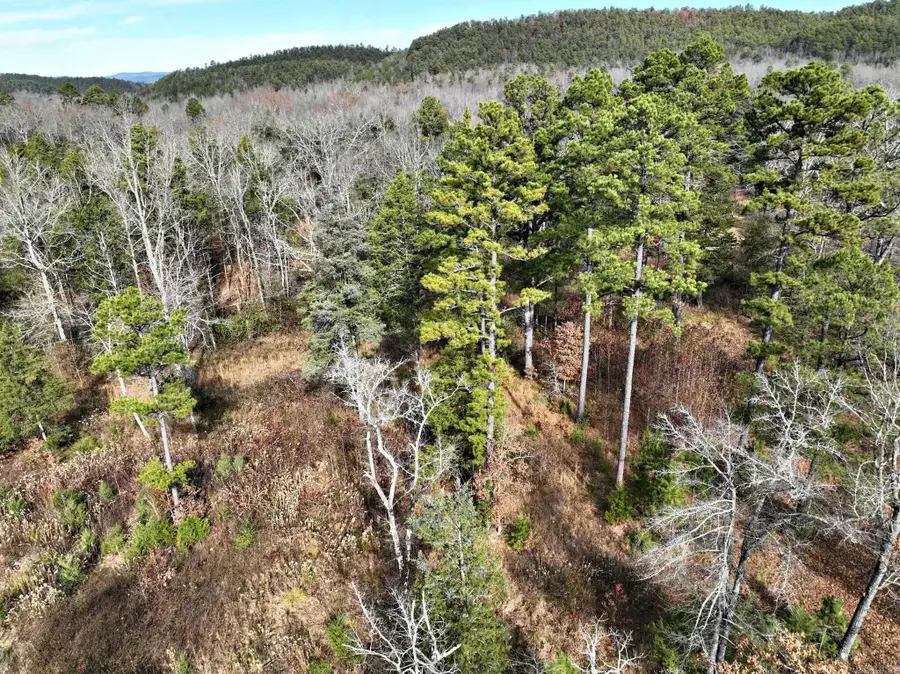 Tract 5 Acheson Lane, Mena, AR 71953 - Image #2