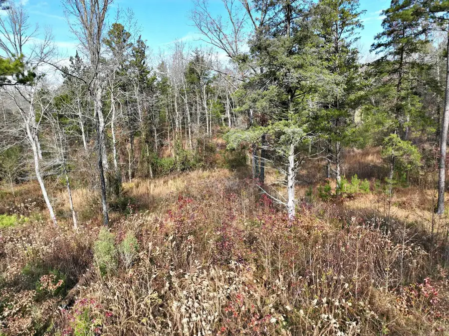 Tract 5 Acheson Lane, Mena, AR 71953 - Image #3