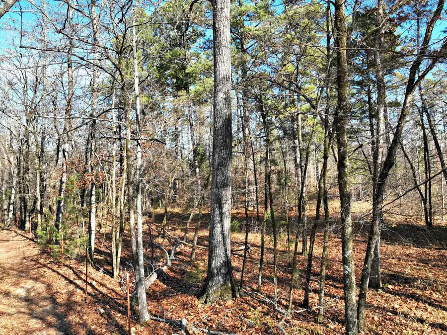 Tract 3 Highway 8 E, Mena, AR 71953 - Image #2